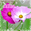 01 (45)